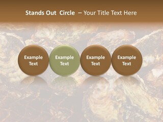 Taste Oyster Lot PowerPoint Template