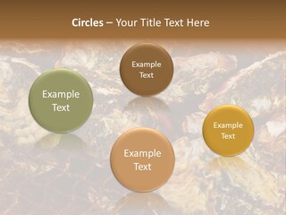 Taste Oyster Lot PowerPoint Template
