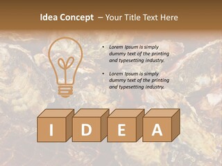 Taste Oyster Lot PowerPoint Template