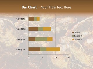 Taste Oyster Lot PowerPoint Template