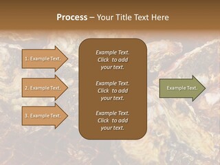 Taste Oyster Lot PowerPoint Template