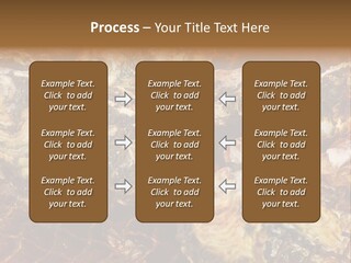 Taste Oyster Lot PowerPoint Template