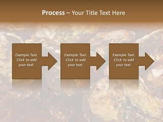 Taste Oyster Lot PowerPoint Template