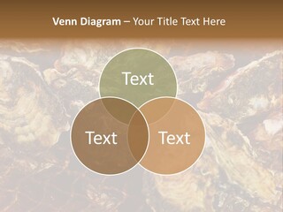 Taste Oyster Lot PowerPoint Template