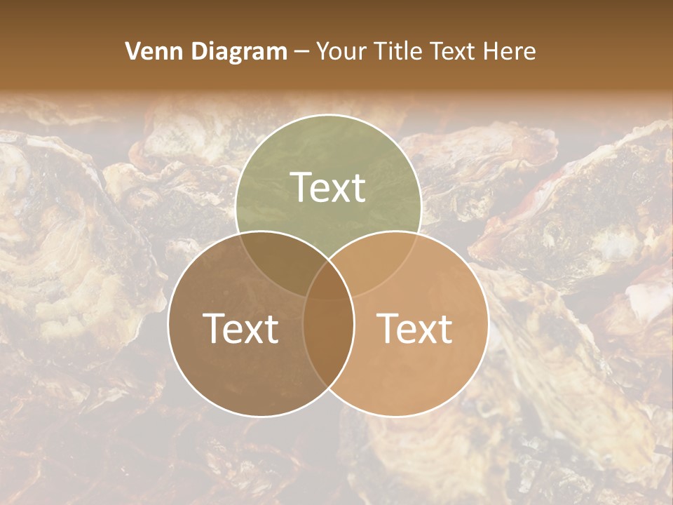 Taste Oyster Lot PowerPoint Template