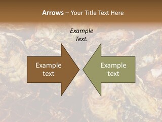 Taste Oyster Lot PowerPoint Template
