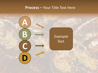 Taste Oyster Lot PowerPoint Template