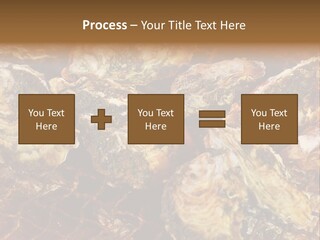 Taste Oyster Lot PowerPoint Template