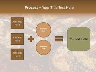 Taste Oyster Lot PowerPoint Template