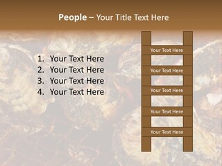 Taste Oyster Lot PowerPoint Template