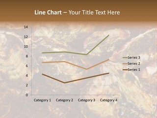 Taste Oyster Lot PowerPoint Template