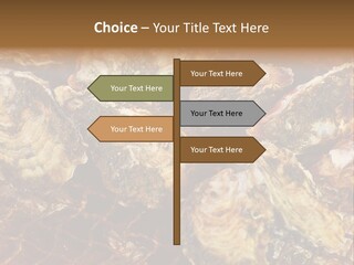 Taste Oyster Lot PowerPoint Template