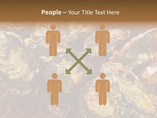 Taste Oyster Lot PowerPoint Template