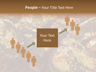 Taste Oyster Lot PowerPoint Template