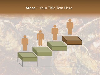 Taste Oyster Lot PowerPoint Template