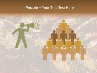 Taste Oyster Lot PowerPoint Template