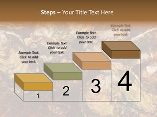 Taste Oyster Lot PowerPoint Template