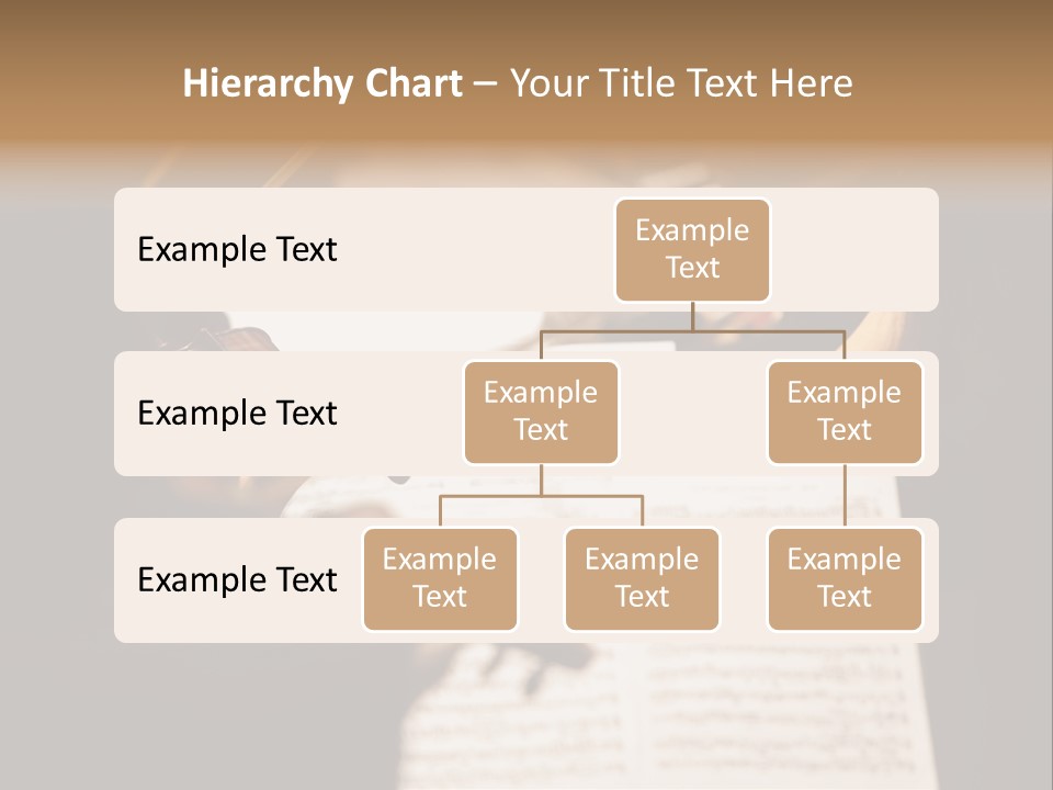 Professional Occupation Violinist Classical Concert PowerPoint Template