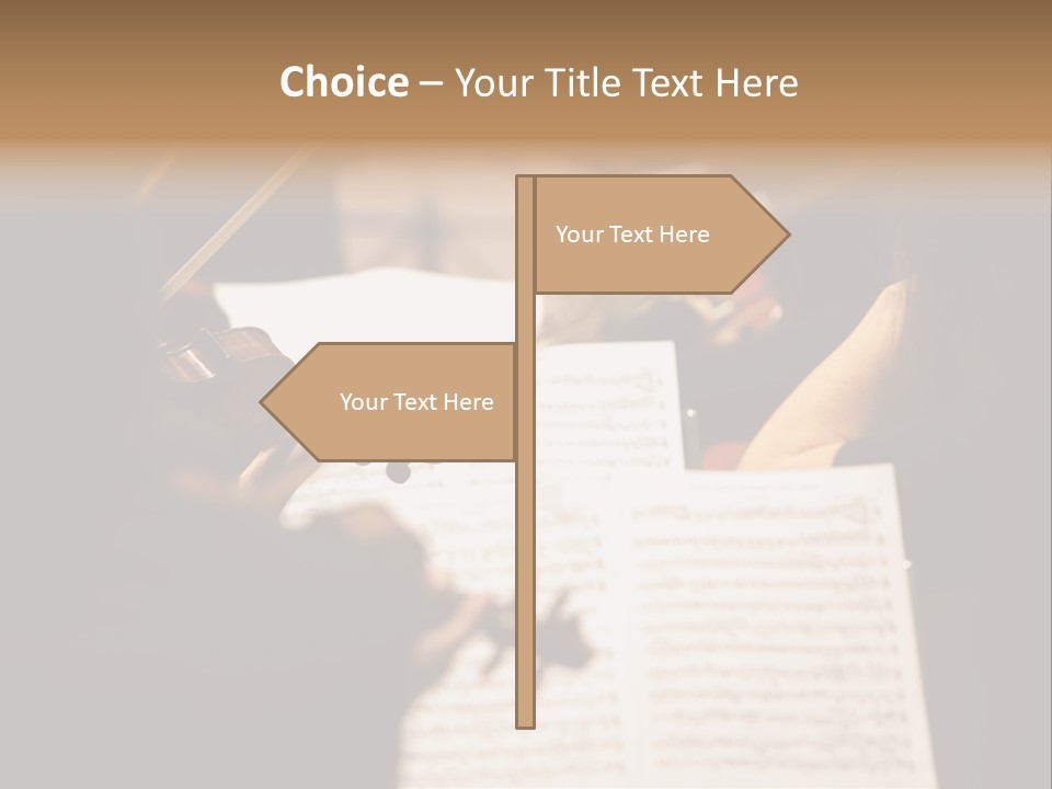Professional Occupation Violinist Classical Concert PowerPoint Template