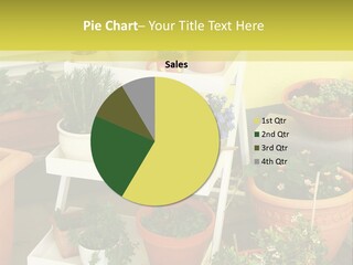 Greenery Parsley Flower PowerPoint Template