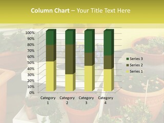 Greenery Parsley Flower PowerPoint Template