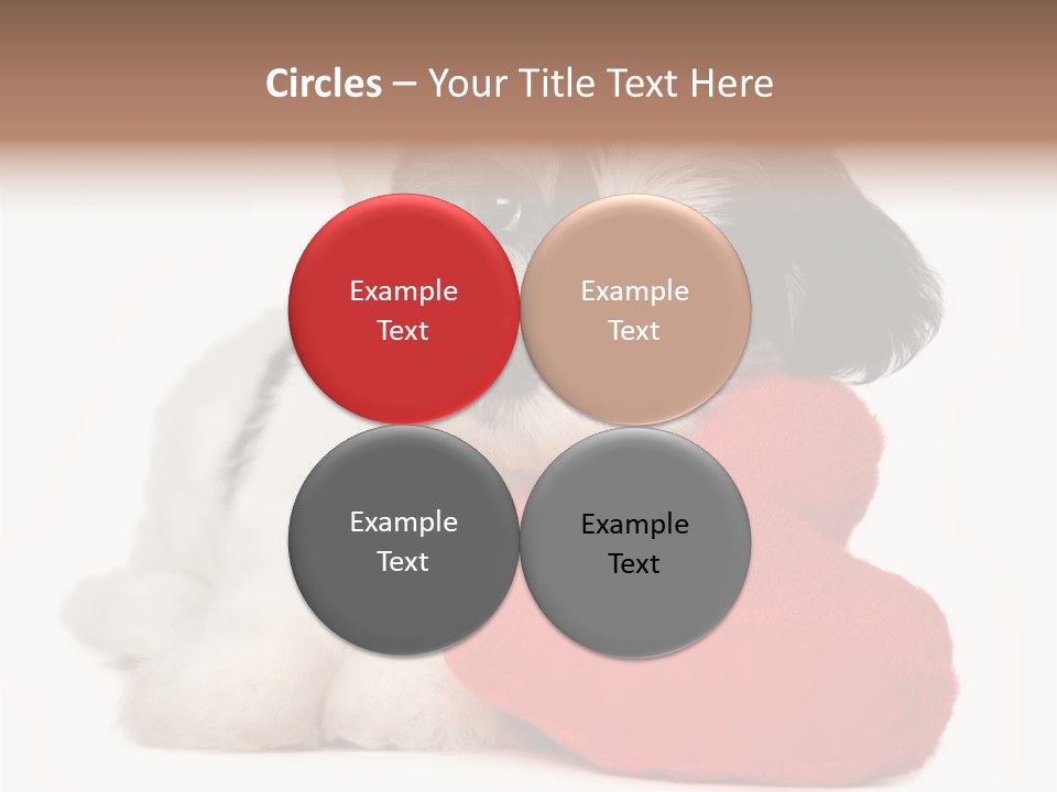 Lover Holiday Havanais PowerPoint Template