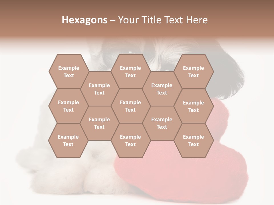 Lover Holiday Havanais PowerPoint Template