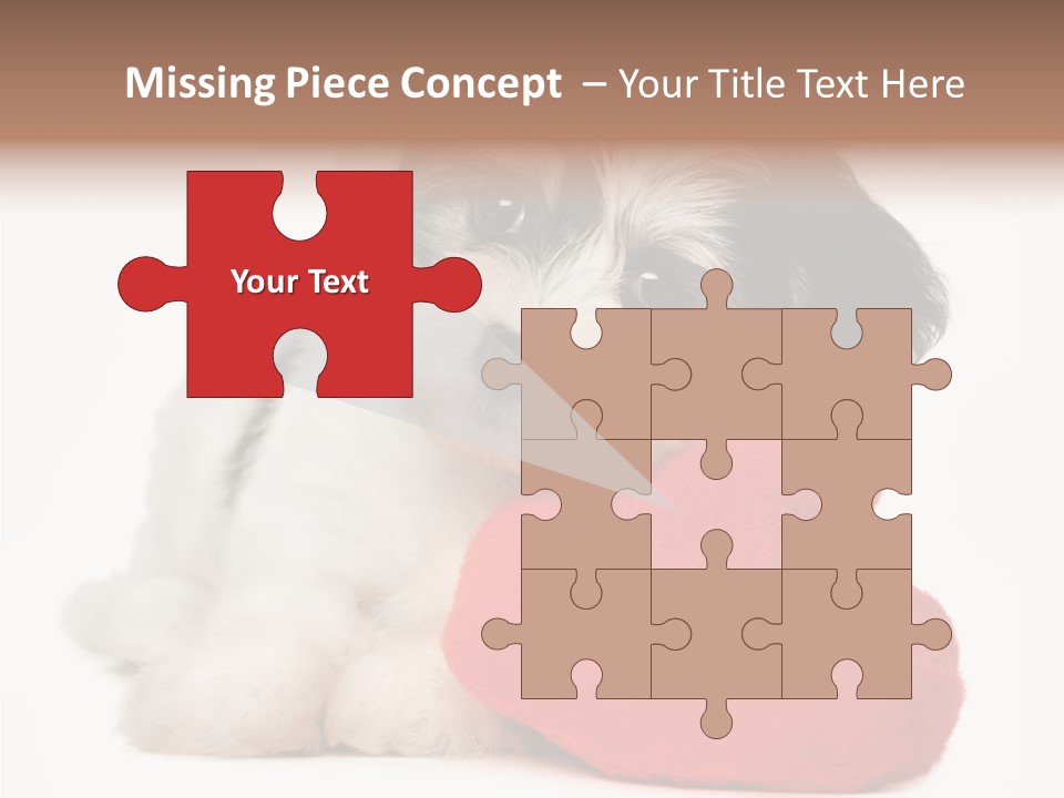 Lover Holiday Havanais PowerPoint Template