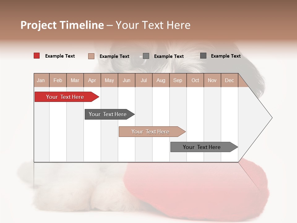 Lover Holiday Havanais PowerPoint Template