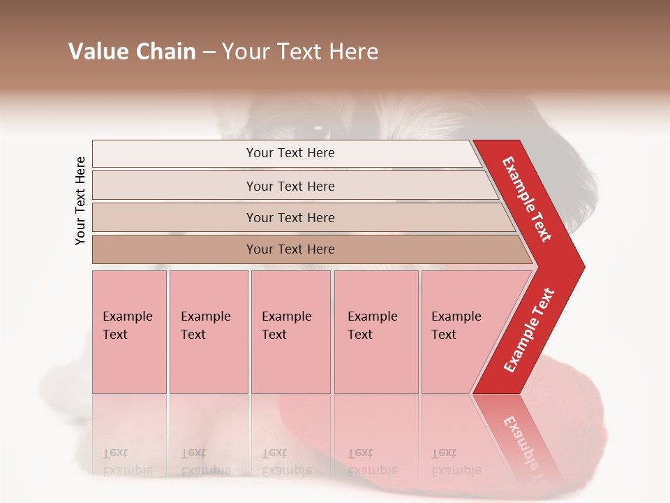 Lover Holiday Havanais PowerPoint Template