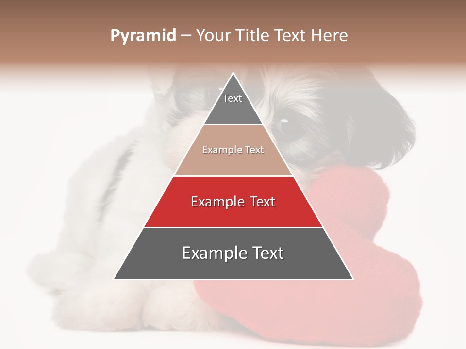 Lover Holiday Havanais PowerPoint Template