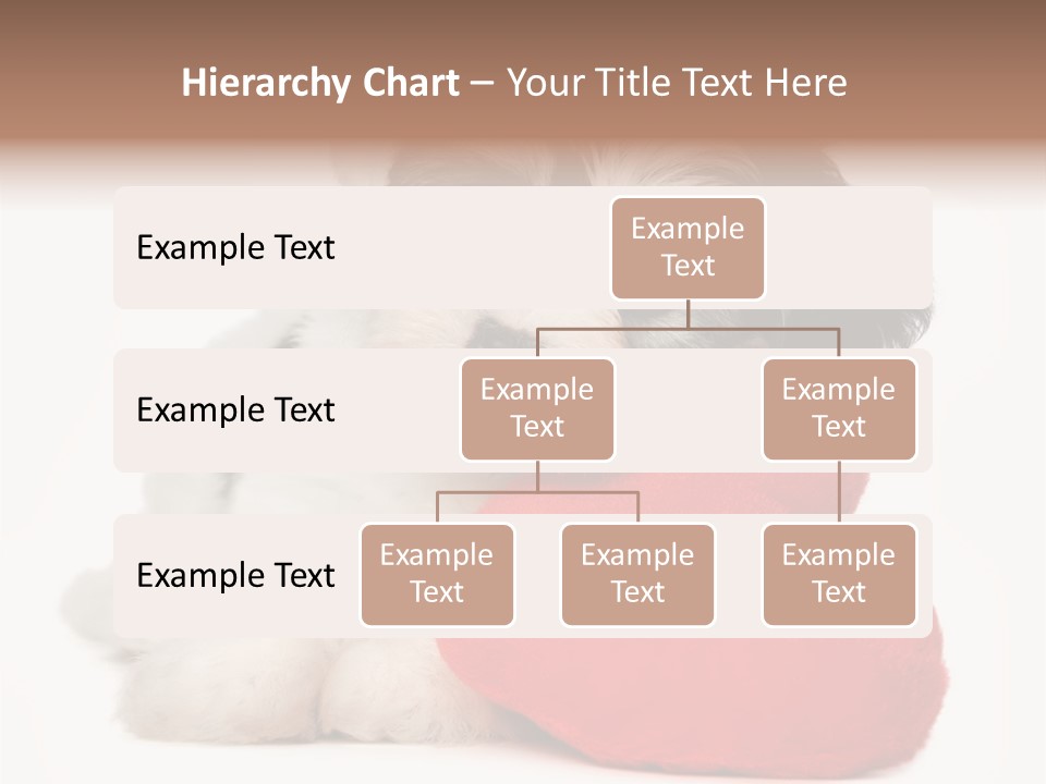 Lover Holiday Havanais PowerPoint Template