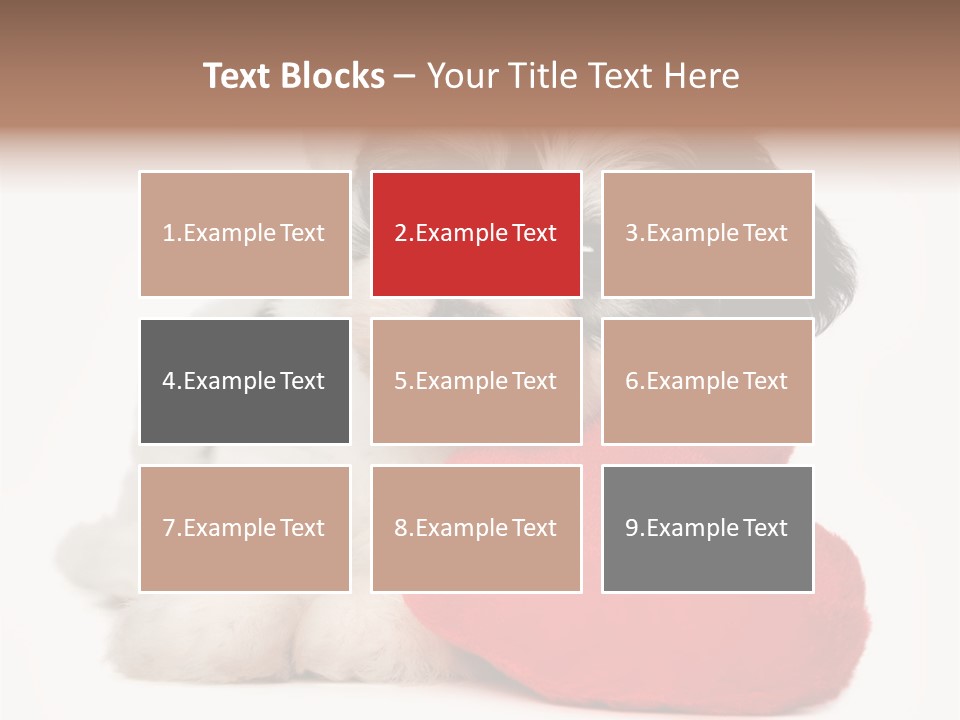 Lover Holiday Havanais PowerPoint Template