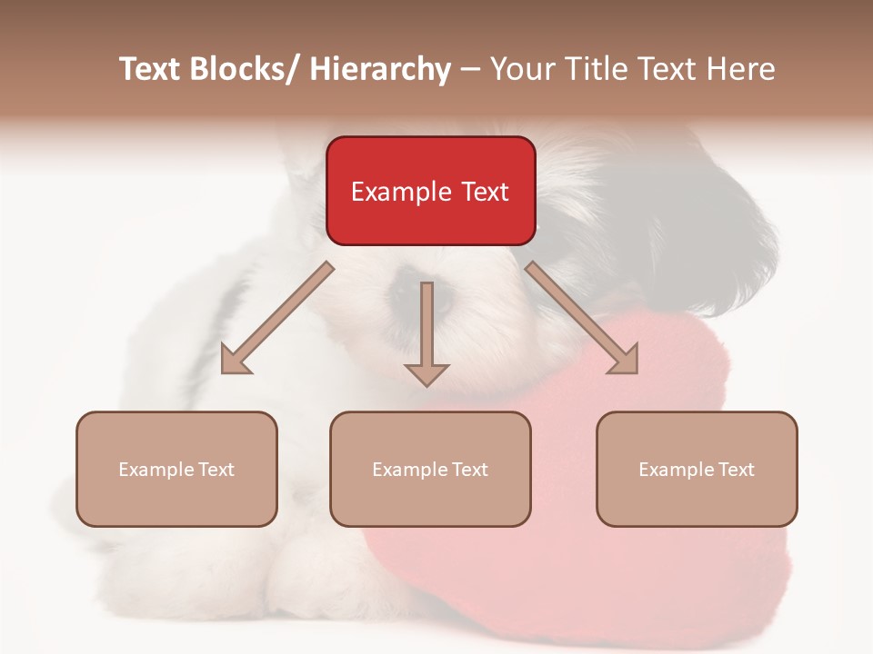 Lover Holiday Havanais PowerPoint Template