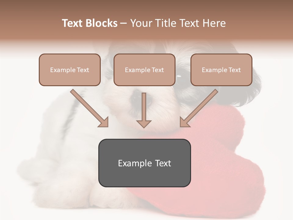 Lover Holiday Havanais PowerPoint Template