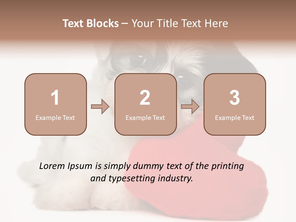 Lover Holiday Havanais PowerPoint Template