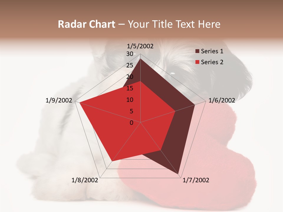 Lover Holiday Havanais PowerPoint Template