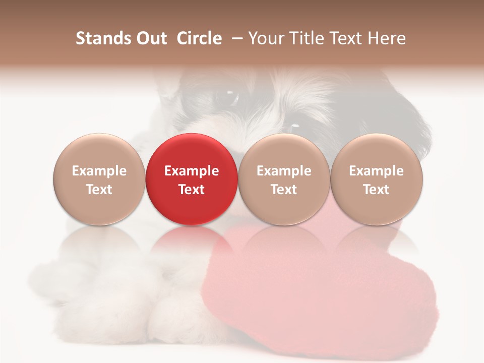 Lover Holiday Havanais PowerPoint Template