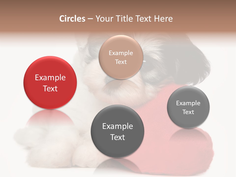 Lover Holiday Havanais PowerPoint Template