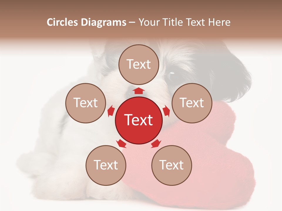 Lover Holiday Havanais PowerPoint Template