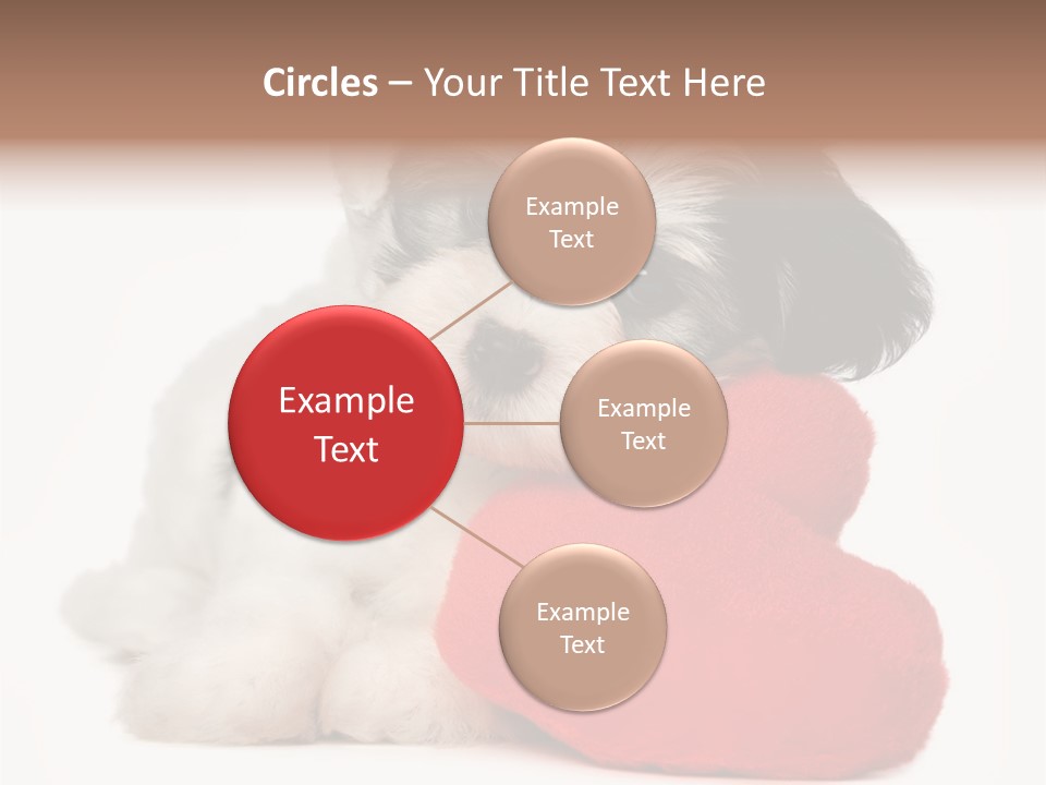 Lover Holiday Havanais PowerPoint Template