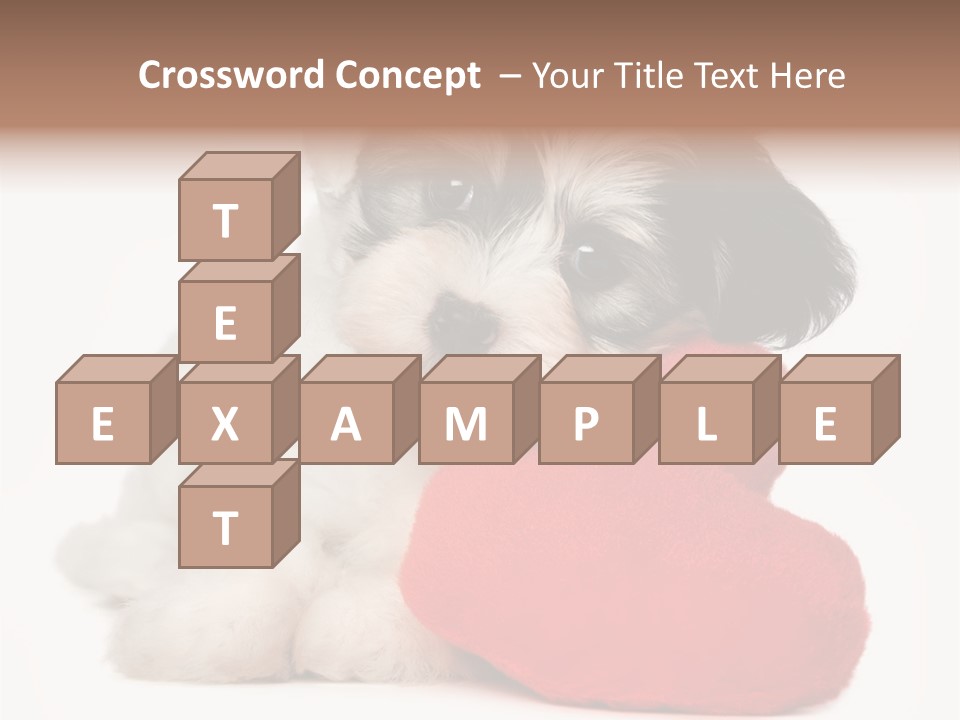 Lover Holiday Havanais PowerPoint Template