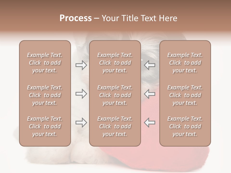 Lover Holiday Havanais PowerPoint Template