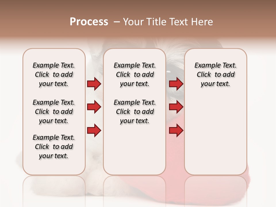 Lover Holiday Havanais PowerPoint Template