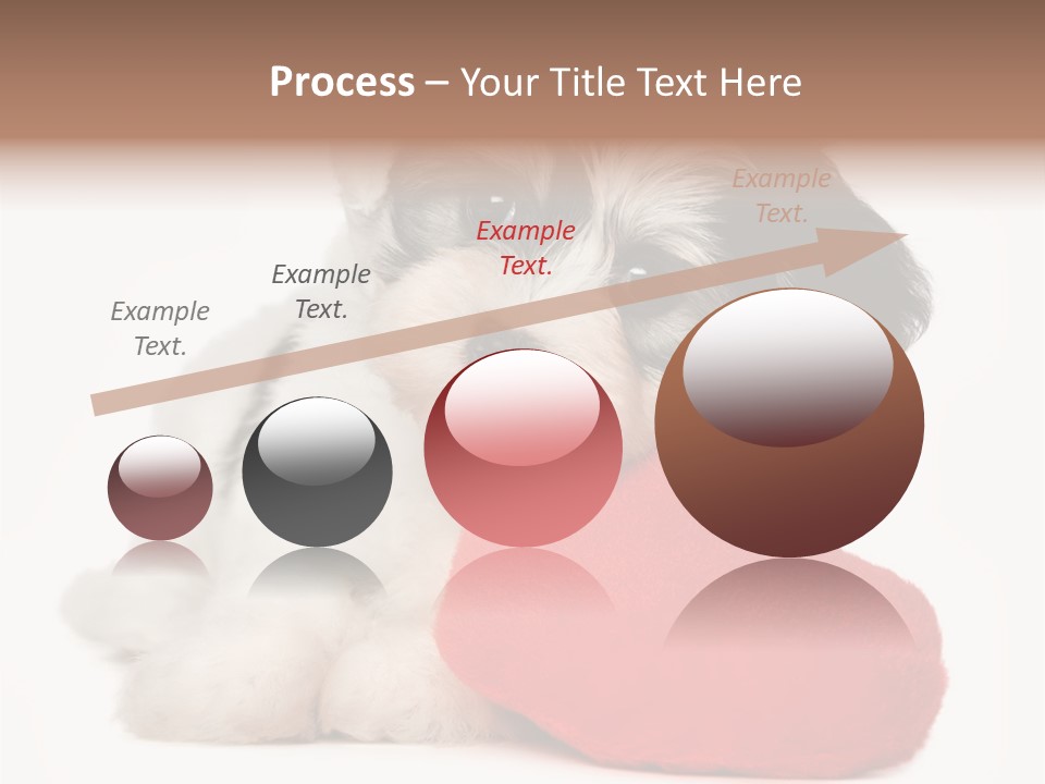 Lover Holiday Havanais PowerPoint Template