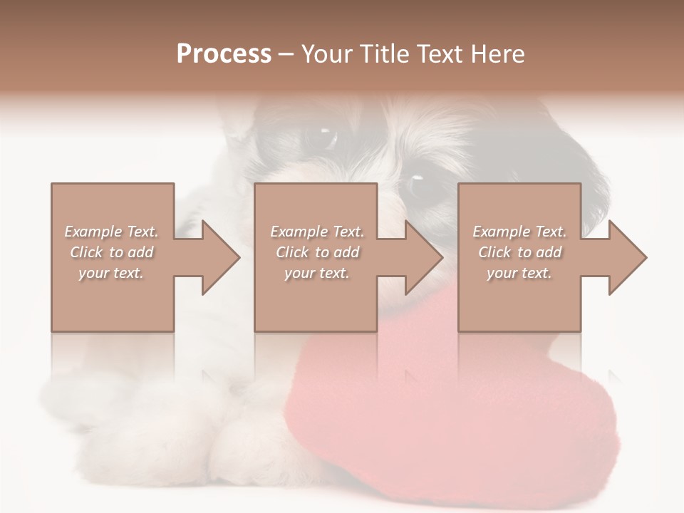 Lover Holiday Havanais PowerPoint Template