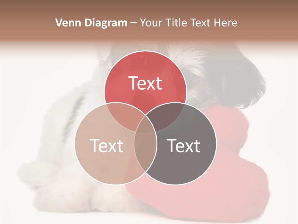 Lover Holiday Havanais PowerPoint Template