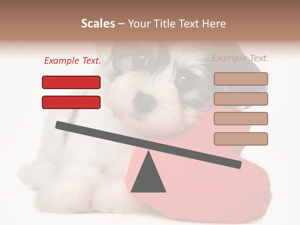Lover Holiday Havanais PowerPoint Template