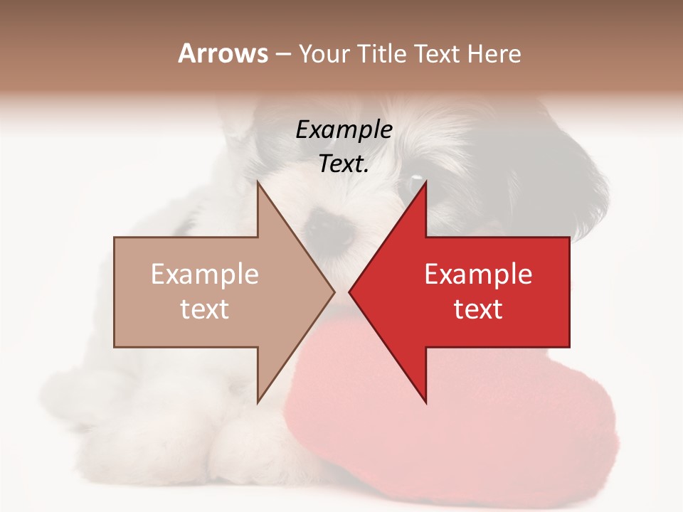 Lover Holiday Havanais PowerPoint Template