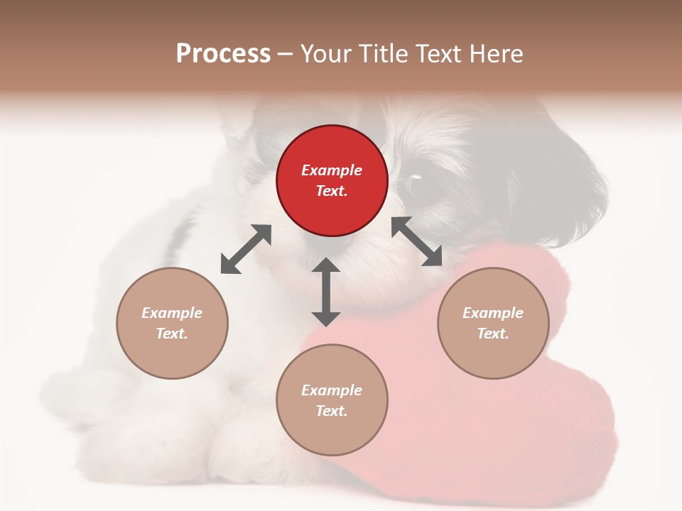 Lover Holiday Havanais PowerPoint Template